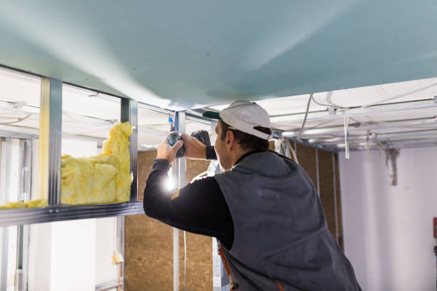 Best Local Insulation Services  in Pinckneyvle, IL